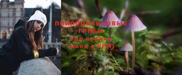 каннабис Дмитриев