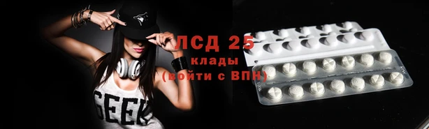кокс Дмитров