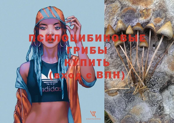 кокс Дмитров