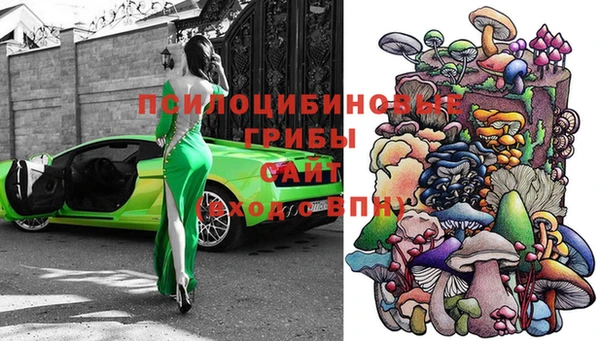 кокс Дмитров